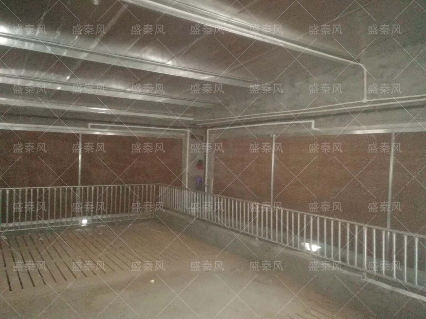 原來養(yǎng)豬場的通風(fēng)降溫還有這些講究！看看您就知道了